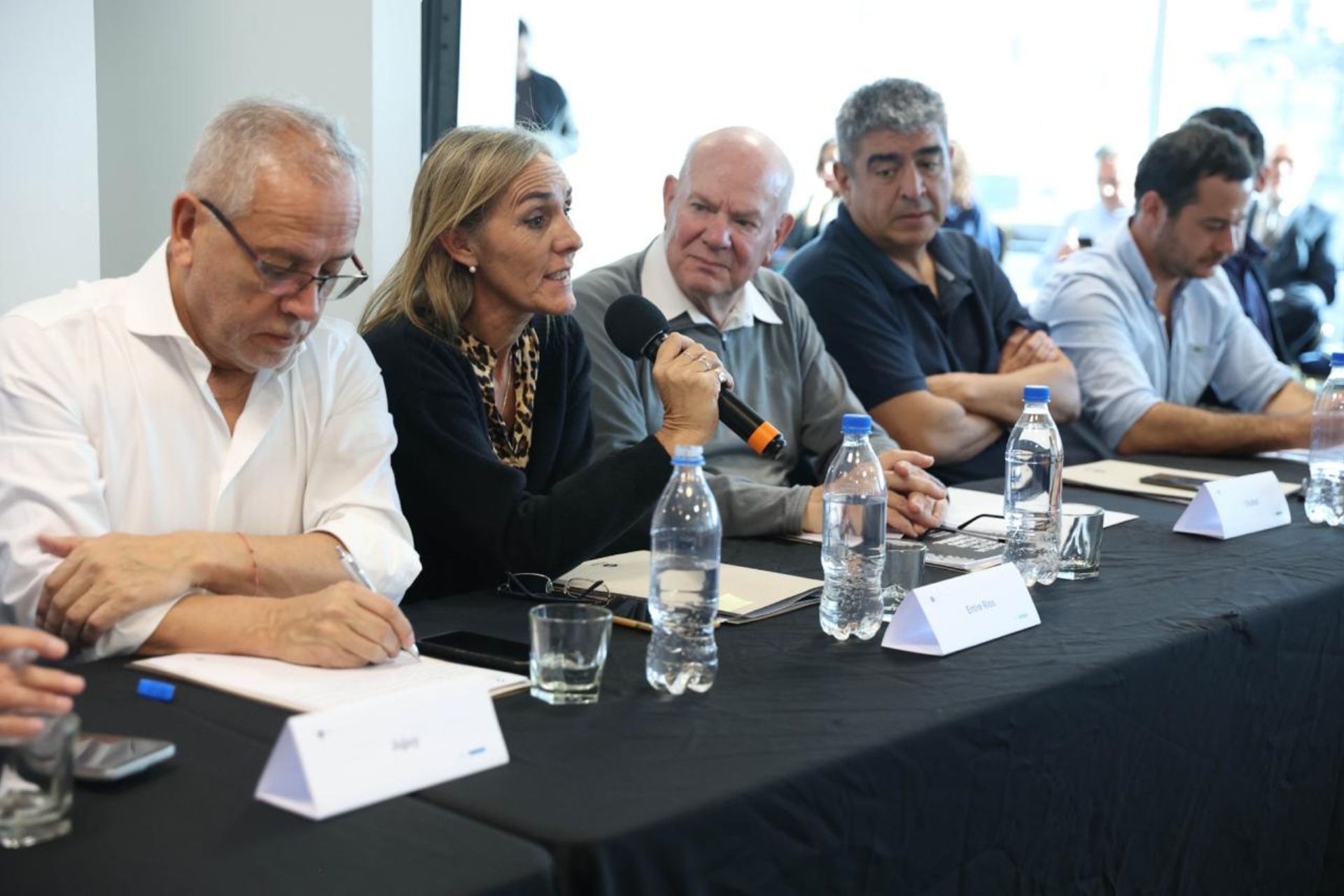 Entre Ríos se alinea con el CFI para blindar una hoja de ruta forestoindustrial con respaldo federal